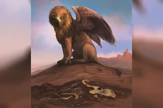 Грифоны и динозавры: ученые опровергли связь древнего мифа с окаменелостями