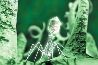 Бактерии превратили вирусы в секретное оружие для микробных войн