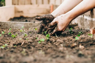 Как отмыть руки от земли: 5 способов вернуть чистоту после огорода