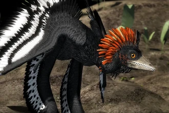 Как динозавры разучились летать: тайна, которую раскрыли перья возрастом 160 млн лет