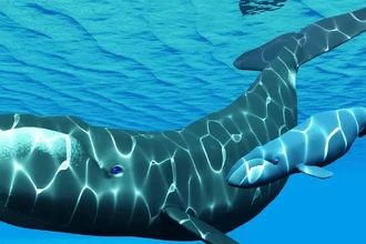 Как эпигенетические часы в ДНК предопределяют срок жизни человека и животных