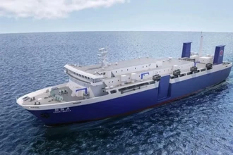 Новое судно для китобойного промысла в Японии: почему охота на китов продолжается