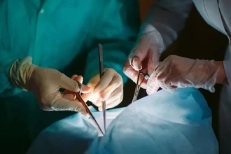 Первая в мире пересадка свиной печени живому пациенту: детали операции