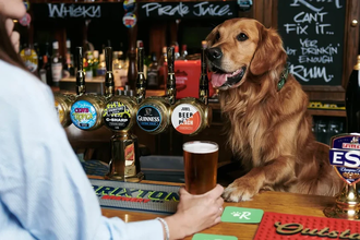 Приз в 10 миллионов долларов: кто создаст язык для общения с животными?