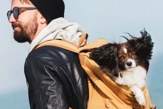 Калькулятор PREVENT: оценка риска инфаркта, инсульта и болезней почек