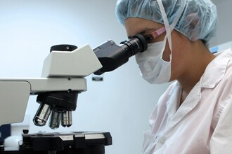 Почему дрожат руки? Учёные нашли причину тремора в клетках Пуркинье