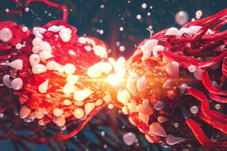 Вирус против рака: начались испытания онколитического CF33-hNIS на людях