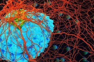 Лекарство от ВИЧ против рака: как ламивудин останавливает рост опухолей