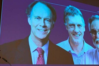 Нобелевская премия 2019: как клетки чувствуют кислород