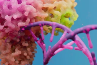 Новый белок MDP1: мощный ключ к защите от туберкулеза