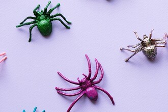 Как мозг стирает чувство страха: открытие ученых на молекулярном уровне