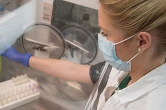 Связь микробиома и камней в почках: что выяснили учёные