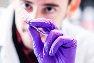 Персональное сердце на чипе: как miniPUMP тестирует лекарства