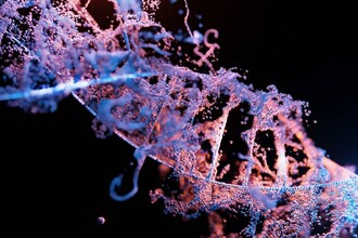 Редкая мутация SHLP2: как одна «буква» в гене защищает от Паркинсона