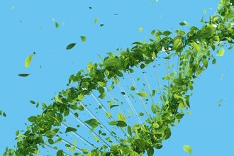 Защита от ожирения печени: как модификация РНК поможет в лечении НАЖБП