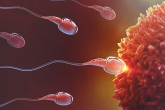 История одного донора: может ли аутизм передаваться генетически?