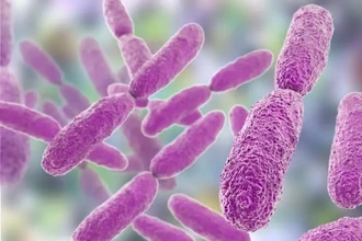 Бактерии нарушили главную догму биологии, создавая новые гены