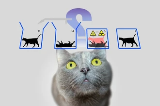 Как кот Шрёдингера победил демона Лапласа: история одного научного спора