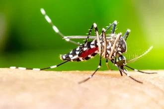 Как снять зуд от комариного укуса: простой рецепт с пищевой содой