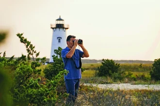 Умный бинокль для орнитологов: как технология распознаёт виды птиц