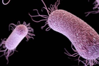 Прорыв в лечении туберкулеза: новая схема показывает эффективность 90%