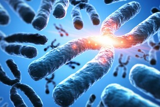 Полная расшифровка Х-хромосомы: как «тёмная материя» ДНК влияет на здоровье