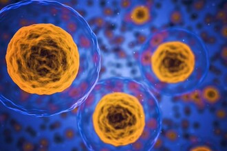 Расшифрован язык иммунитета: как эктосомы управляют защитой организма