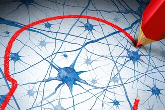 Защита мозга: как новый препарат блокирует гибель нейронов при Паркинсоне