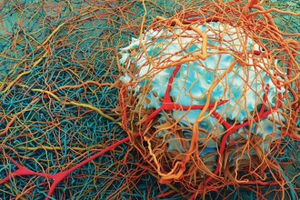 Как остановить рецидив рака печени? Роль ингибиторов JAK/STAT в новой терапии