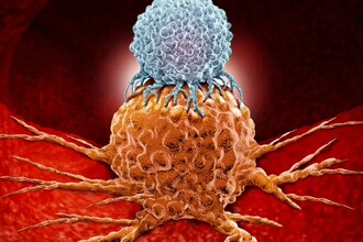 Т-клетки против рака: как вернуть им силу для борьбы