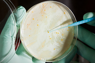 Pro-AG: CRISPR против супербактерий и устойчивости к антибиотикам