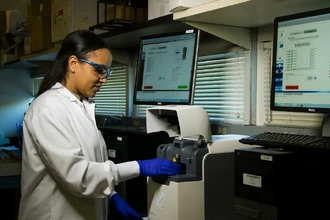 Омоложение иммунитета: как ученые MIT используют мРНК для создания Т-клеток