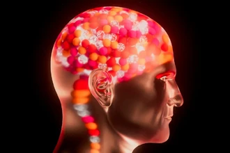 Скрытый язык мозга: как ученые впервые увидели химические сигналы нейронов