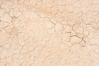 Как жара разрушает связь мозга, кишечника и печени