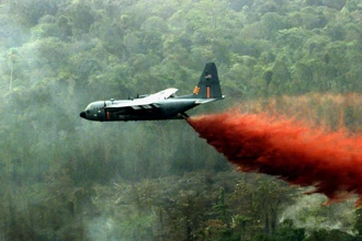 «Эйджент Оранж»: как США травили Вьетнам опаснейшим химикатом