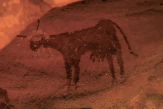 Коровы на скалах Сахары: доказательства того, что пустыня была цветущей саванной