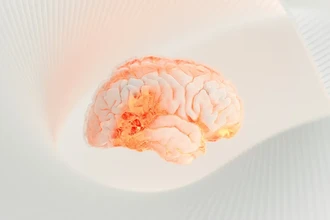 Новая карта мозга: путь к пробуждению из комы