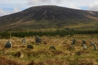 Загадочные аллеи каменного века: что нашли археологи в Ирландии