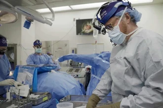 Пересадка органов от свиней человеку: как ксенотрансплантация меняет медицину