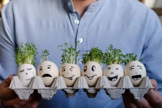 Что сделать из яичной скорлупы: необычное топливо и 7 других идей