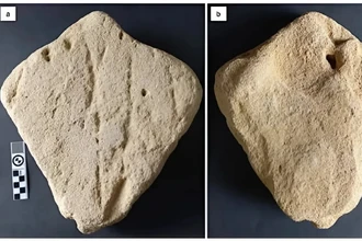 Каменный скат возрастом 130 000 лет может быть древнейшим изображением животного