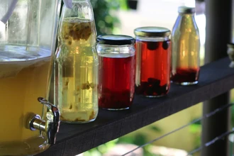 Чайный гриб и похудение: как ферментированный напиток влияет на вес