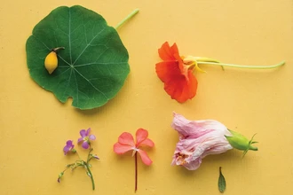 Найдена природная альтернатива Оземпику: открытие, которое может изменить подход к похудению