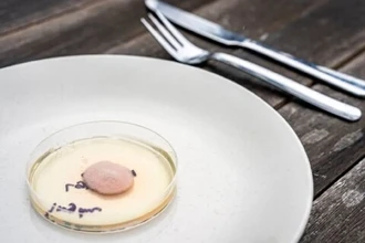 Как гриб кодзи превратили в основу для мяса будущего: новая альтернатива