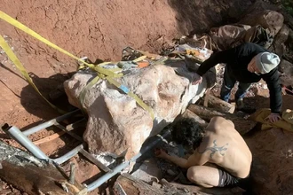 Прогулка с собакой обернулась находкой скелета титанозавра