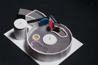 Социальные пчелы: как насекомые обучают сородичей решать головоломки