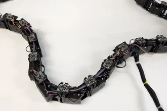 Многоклеточный робот Лупи: как модули создают форму без центрального управления