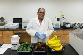 Банановая кожура вместо пластика: создана биоразлагаемая упаковка