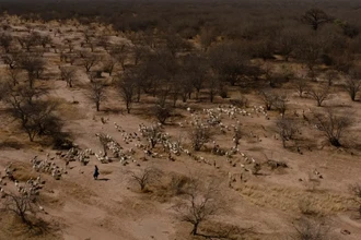 Почему вода губит кочевников Африки: парадокс помощи