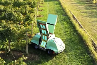 Икар для виноградников: ультрафиолет против плесени